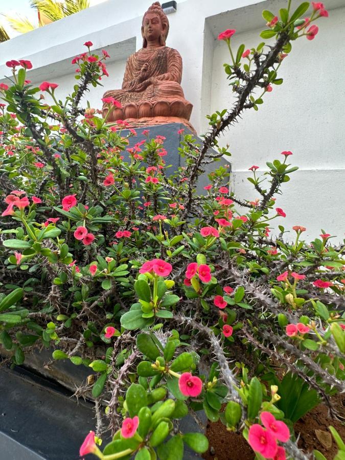 Buddha Beach Hotel Kovalam